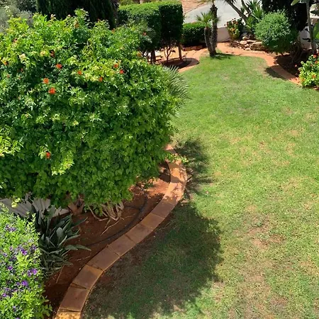 In Ayia Thekla 3 فيلة
